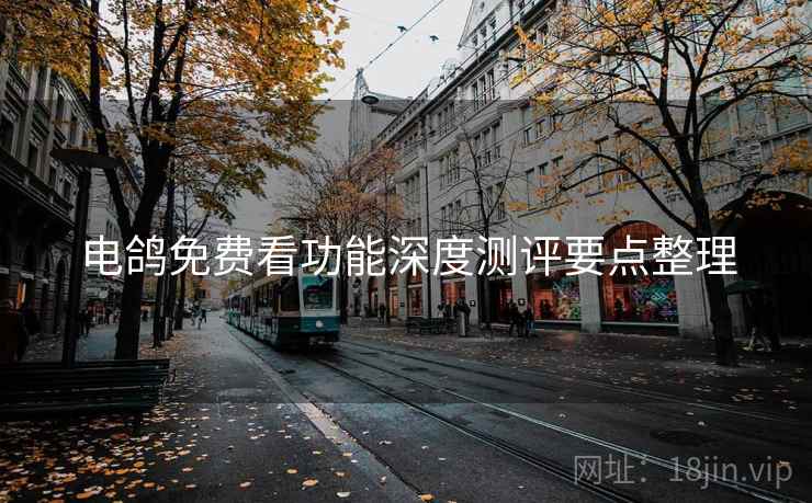 电鸽免费看功能深度测评要点整理