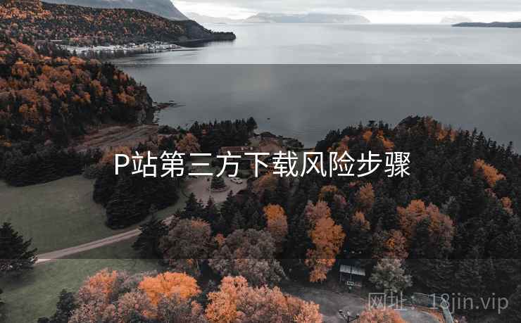P站第三方下载风险步骤