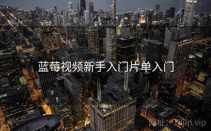 蓝莓视频新手入门片单入门