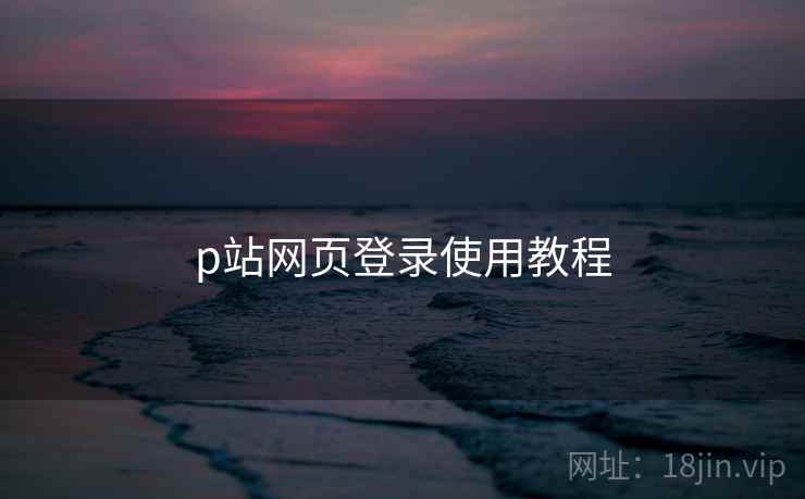 p站网页登录使用教程