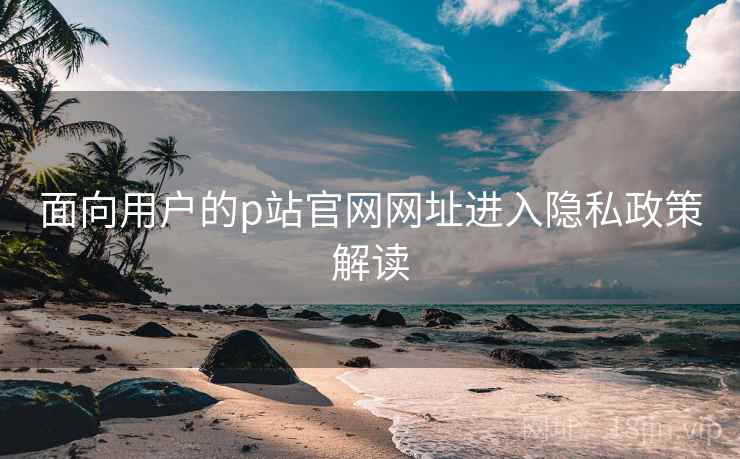 面向用户的p站官网网址进入隐私政策解读