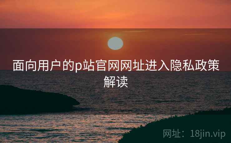 面向用户的p站官网网址进入隐私政策解读