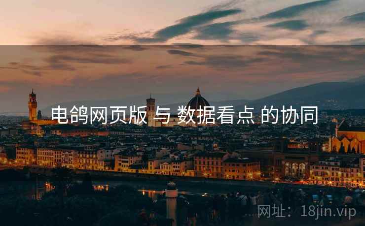电鸽网页版 与 数据看点 的协同