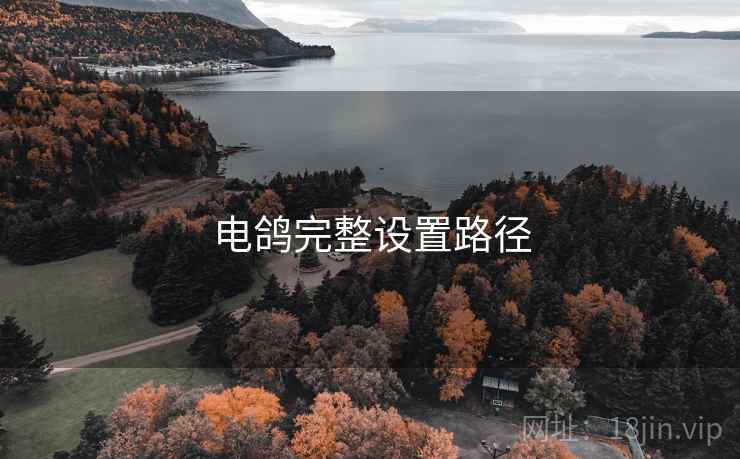 电鸽完整设置路径