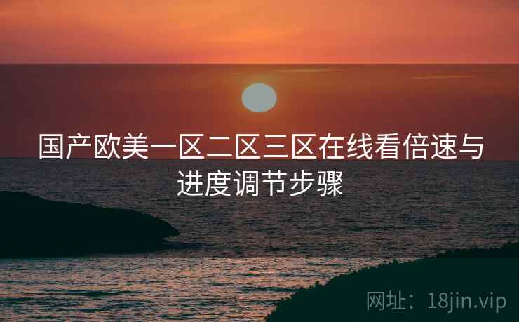 国产欧美一区二区三区在线看倍速与进度调节步骤
