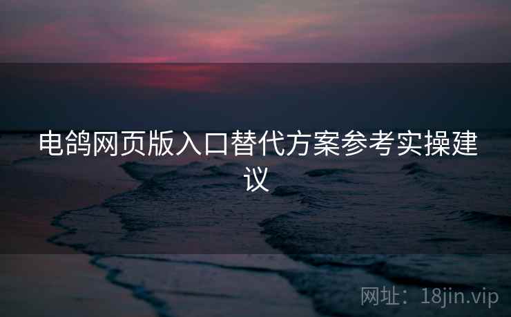电鸽网页版入口替代方案参考实操建议