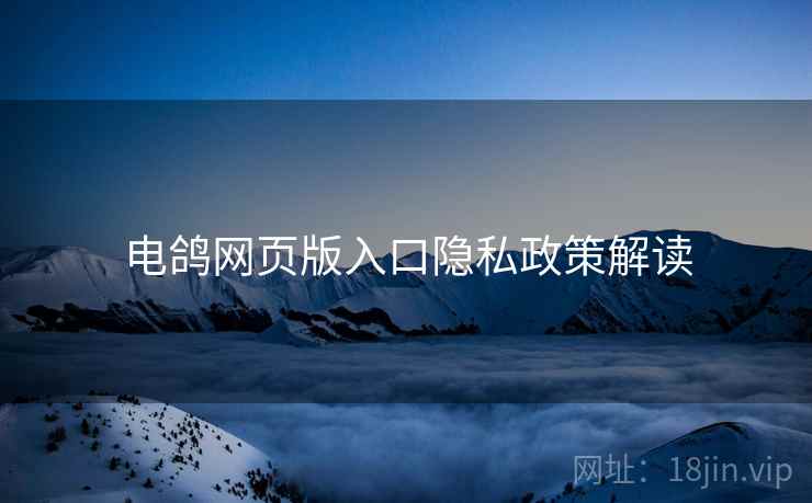 电鸽网页版入口隐私政策解读