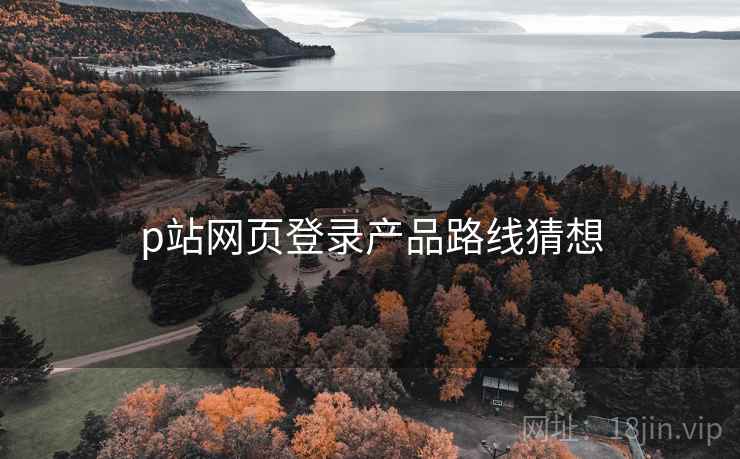 p站网页登录产品路线猜想
