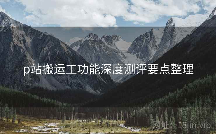 p站搬运工功能深度测评要点整理