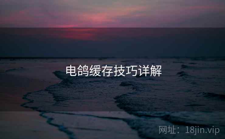 电鸽缓存技巧详解