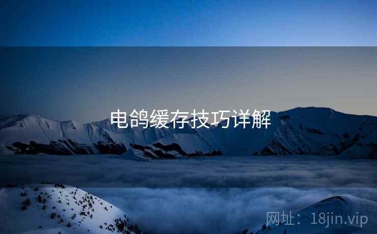 电鸽缓存技巧详解