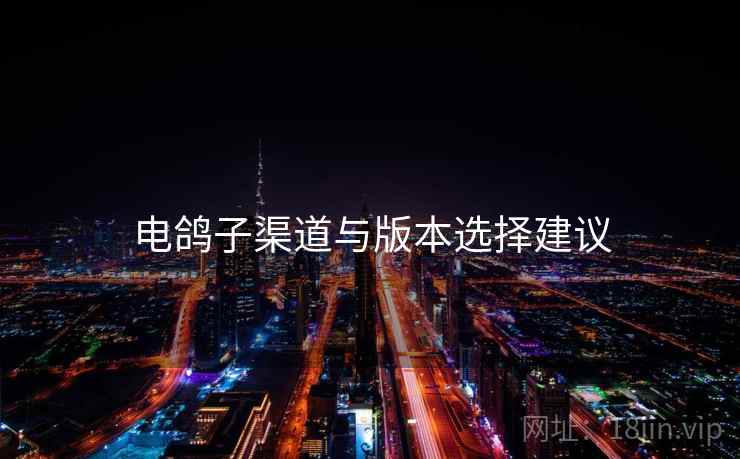 电鸽子渠道与版本选择建议
