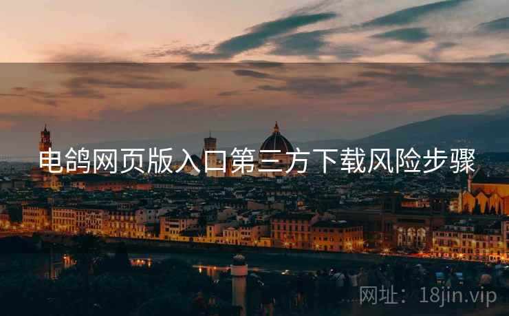 电鸽网页版入口第三方下载风险步骤