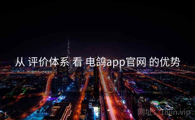 从 评价体系 看 电鸽app官网 的优势