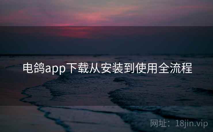 电鸽app下载从安装到使用全流程